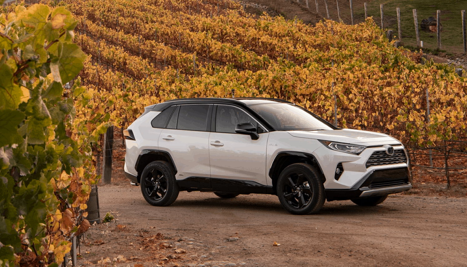 Best SUVs to Drive in Canada 2019 - Toyota RAV4