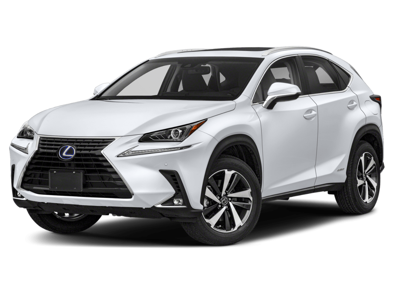 2021 Lexus NX Birchwood Automotive Group