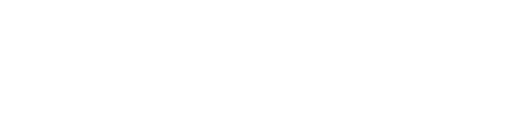 Birchwood Nissan Logo