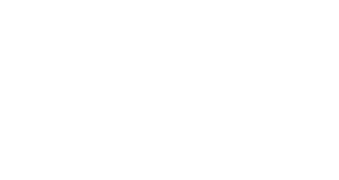 Birchwood Kia Regent Logo