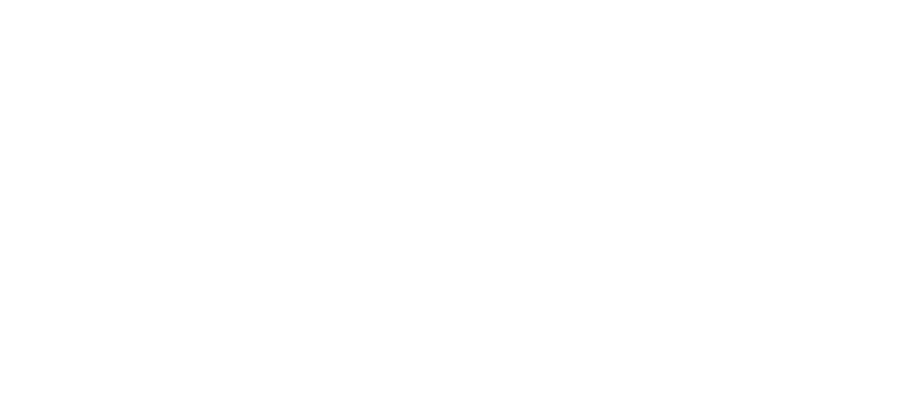 Steinbach Toyota Logo