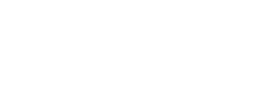 Birchwood Lexus Logo