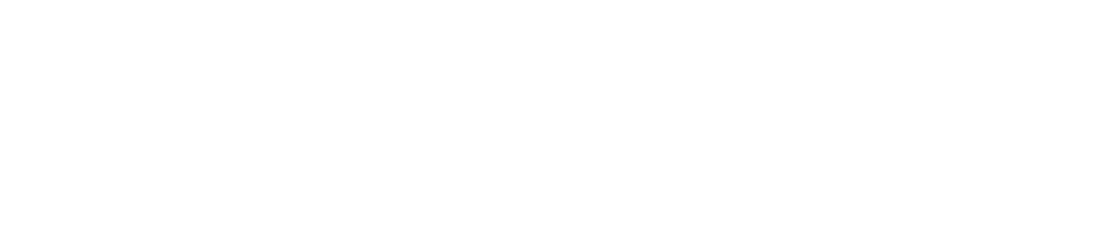 Birchwood Honda on Regent Logo