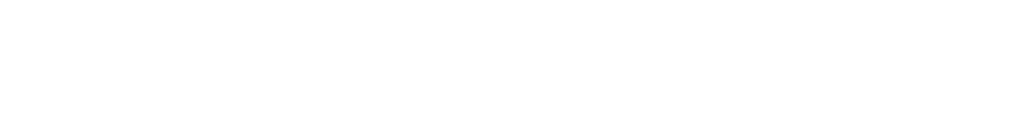 Birchwood Ford Logo