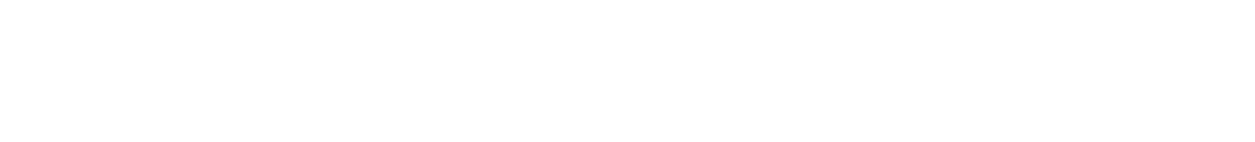 Birchwood Ford Logo