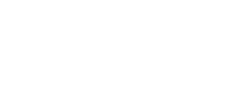 Birchwood Lexus Logo