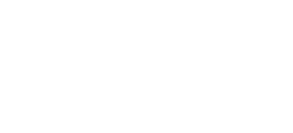 Birchwood Chevrolet Logo